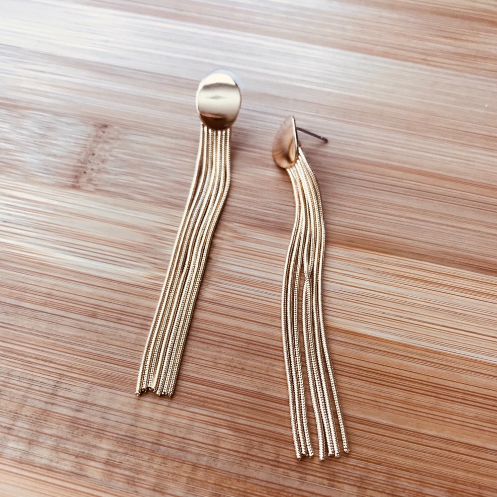 Long Tassel Drop Earrings